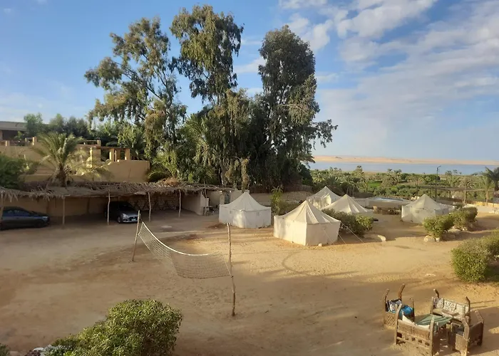 Tunis Tone Ecolodge & Campsite