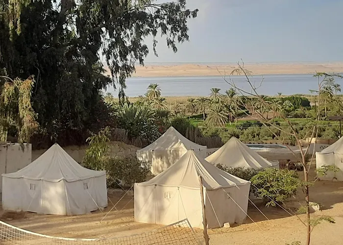 Tunis Tone Ecolodge & Campsite